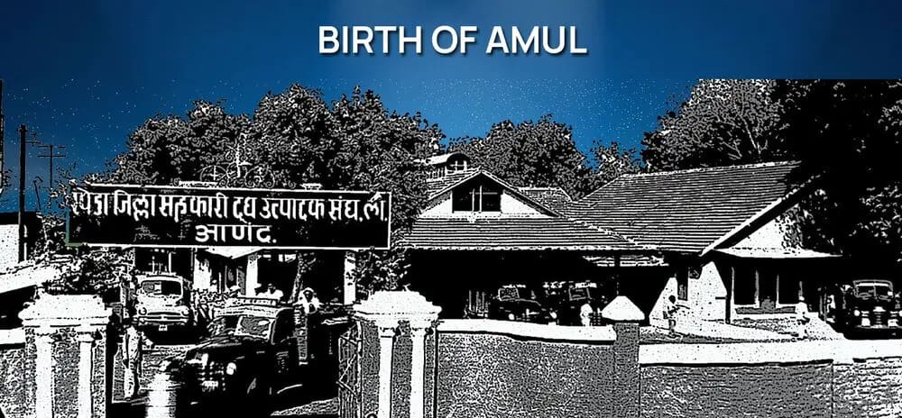 story of the amul milk