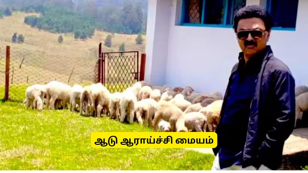 mk stalin kodaikanal sheep station