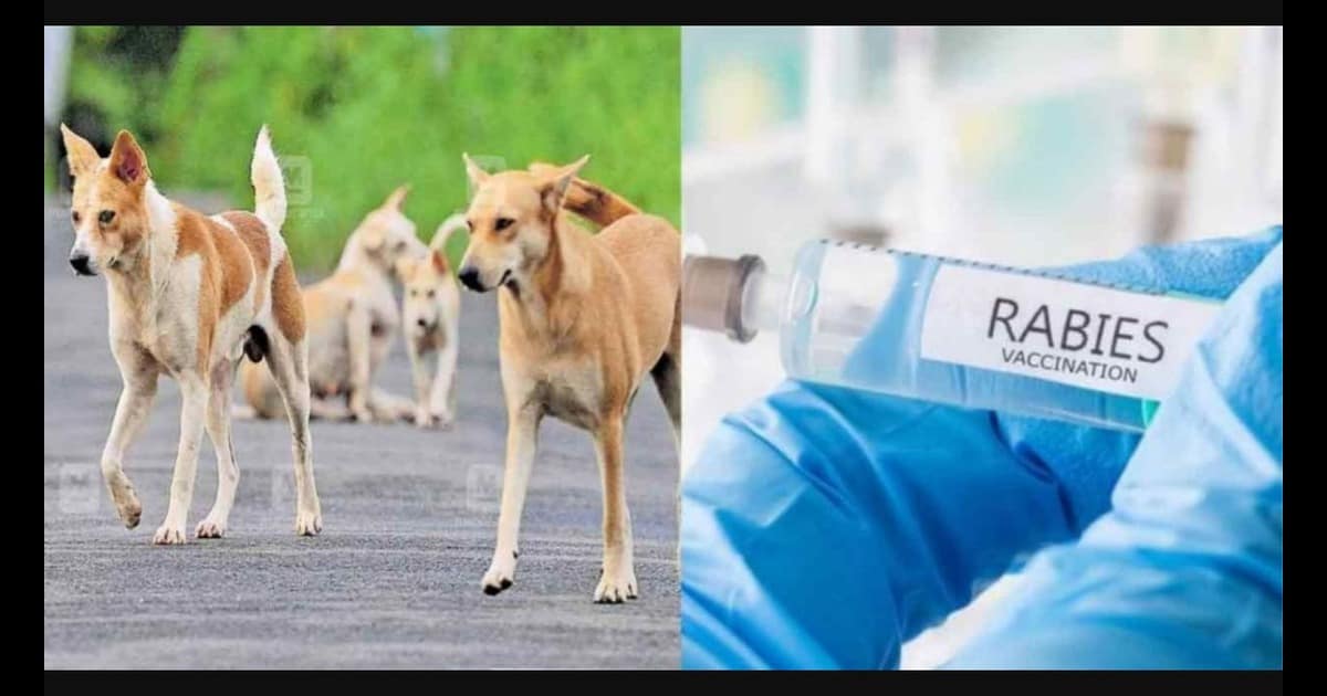 வெறிநோய் தமிழ்நாடு