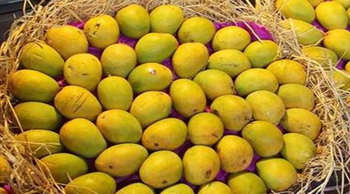 மாம்பழம் ஏற்றுமதி