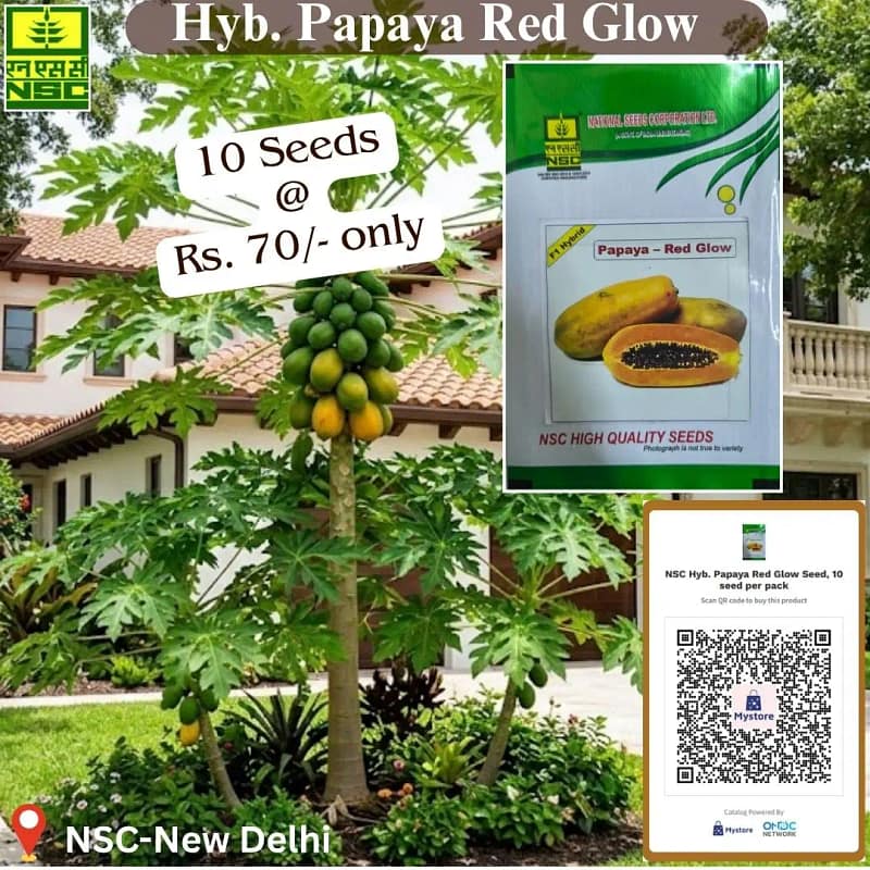 papaya seeds