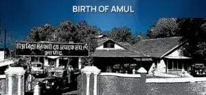 அமுல்;அன்று 247 லிட்டர் பால் ... இன்று ரூ.1 லட்சம் கோடி வருமானம்! Story Of The Amul Storytelling 300x139 1