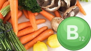 சைவ உணவு சாப்பிடுபவர்களுக்கு புற்றுநோய் பாதிப்பு குறைவு! பி12 நிறைந்த சைவ உணவு